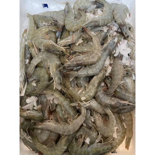 新鲜虾(中号)2KG