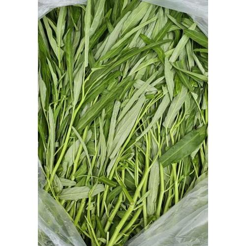 散装空心菜/500g