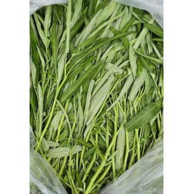 散装空心菜/500g