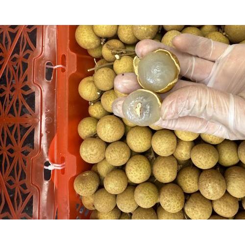 龙眼/箱（2kg) 甜！