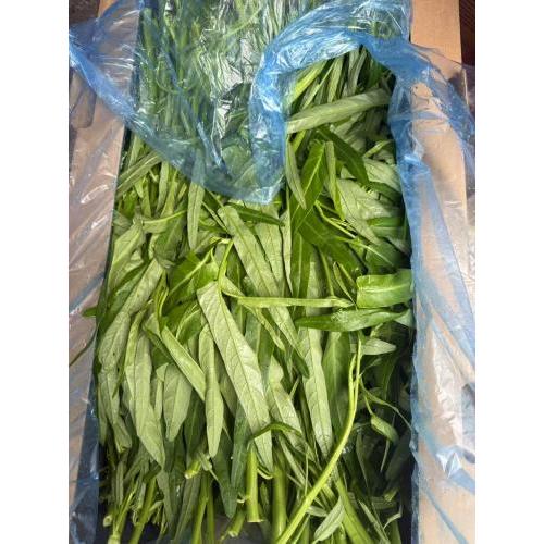 散装空心菜/500g
